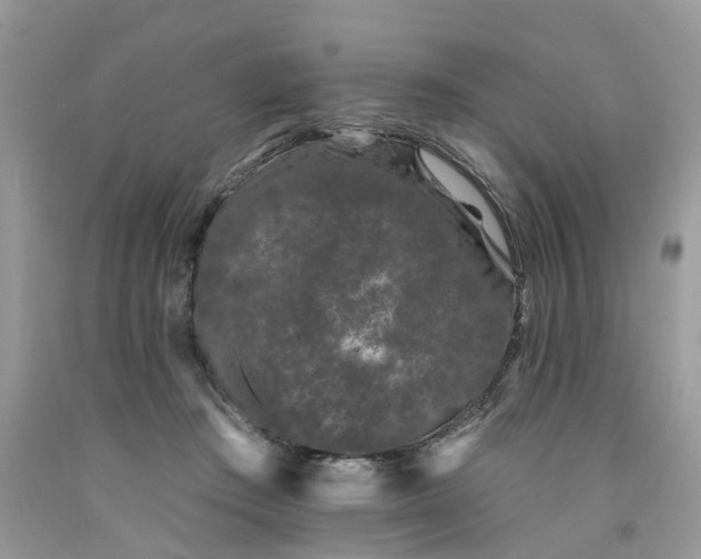X0000091670409200709061047