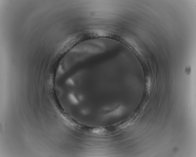 X0000091670410200709061047