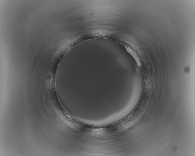 X0000091670411200709061047