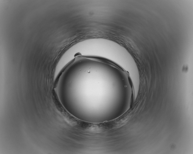 X0000091670416200709061047