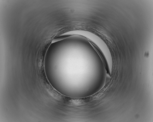X0000091670417200709061047