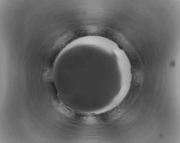 X0000091670419200709061047