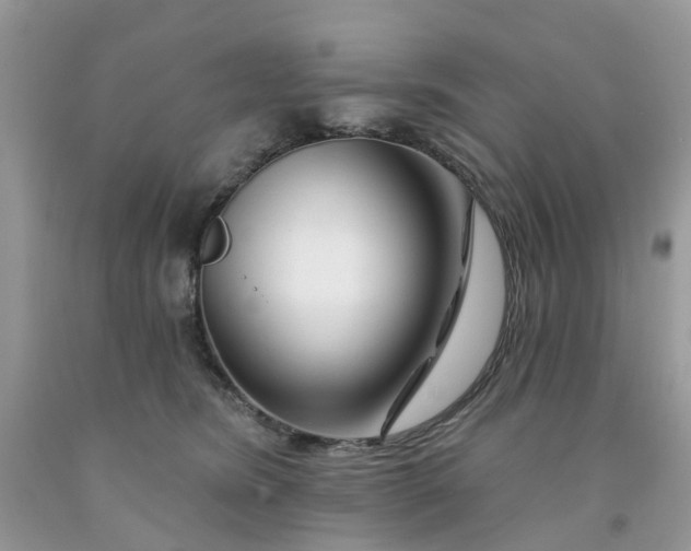 X0000091670420200709061047