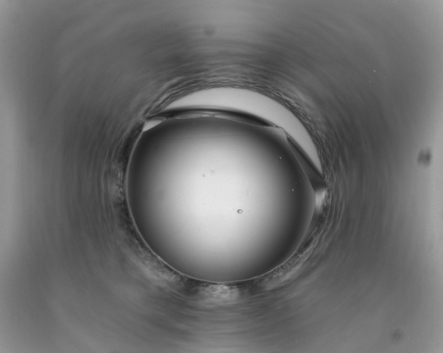 X0000091670421200709061047