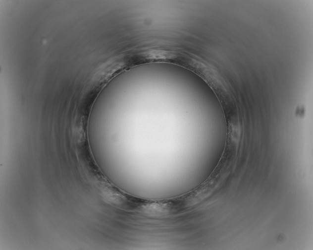 X0000091670422200709061047