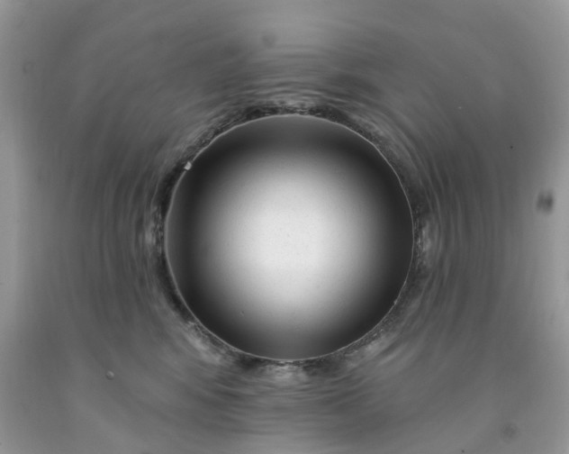 X0000091670424200709061047