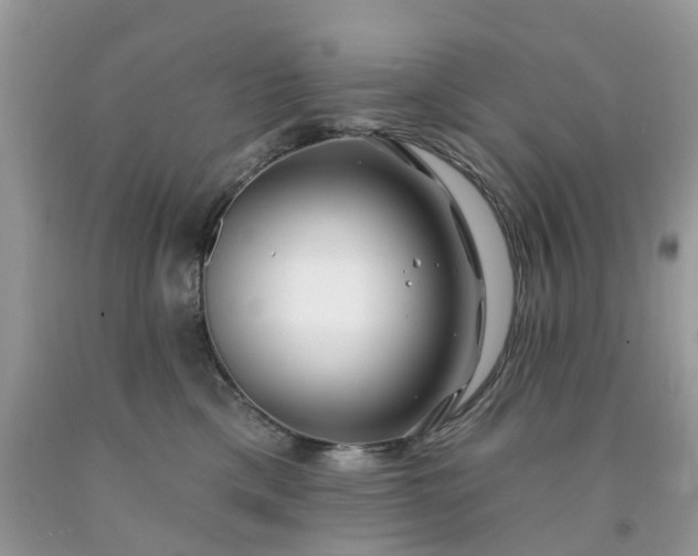 X0000091670425200709061047