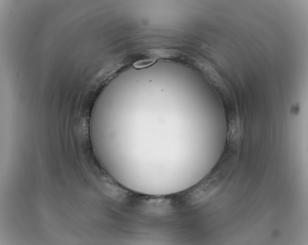 X0000091670426200709061047