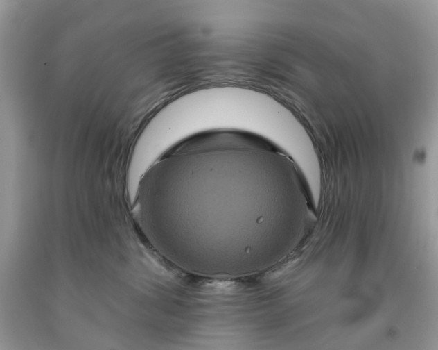 X0000091670428200709061047