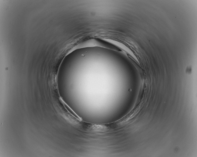 X0000091670429200709061047