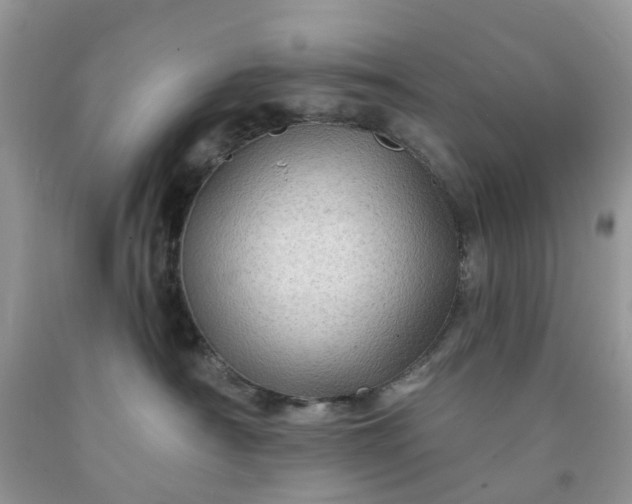 X0000091670430200709061047