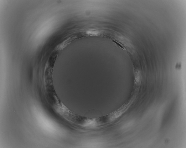 X0000091670431200709061047