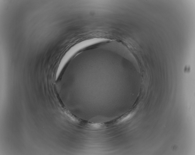 X0000091670432200709061047