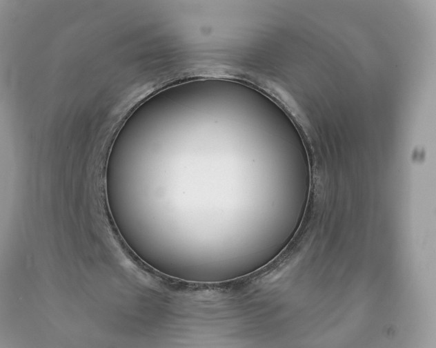X0000091670433200709061046