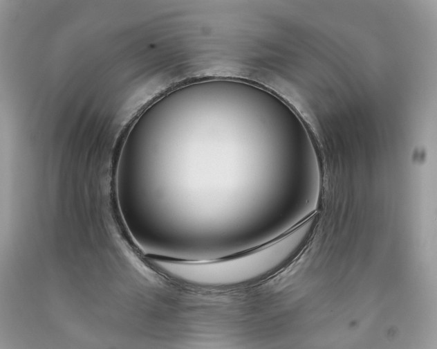 X0000091670437200709061046
