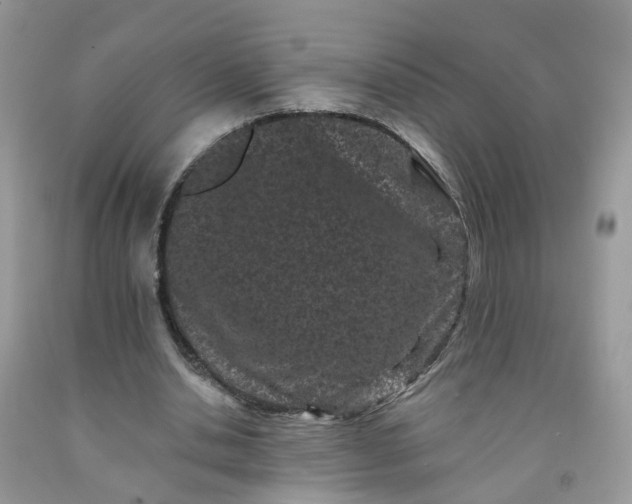 X0000091670438200709061046