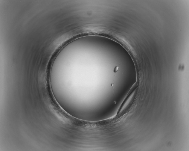 X0000091670439200709061046
