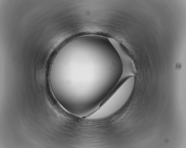 X0000091670440200709061046