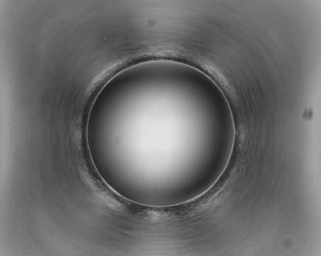 X0000091670442200709061046