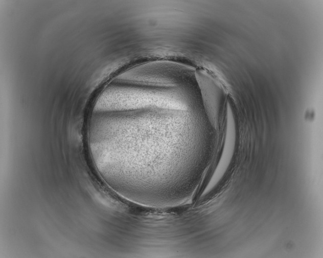 X0000091670443200709061046
