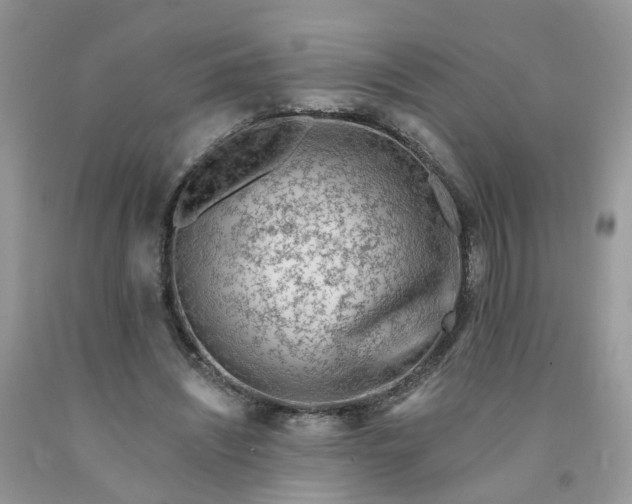 X0000091670444200709061046