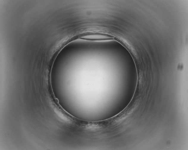 X0000091670445200709061046