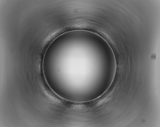 X0000091670446200709061046