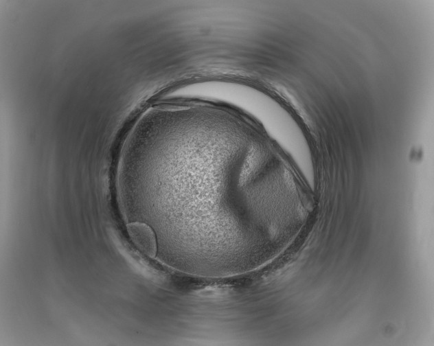 X0000091670447200709061046