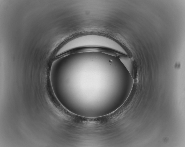 X0000091670448200709061046