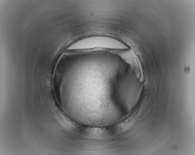 X0000091670449200709061046