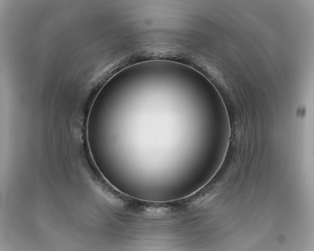 X0000091670450200709061046