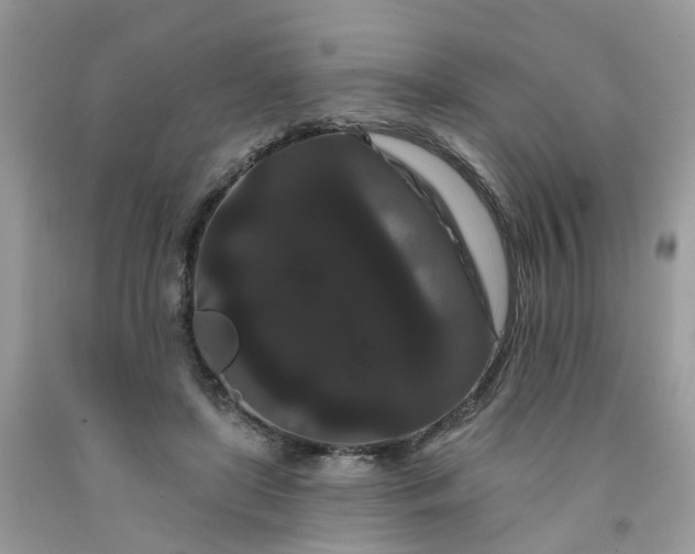 X0000091670451200709061046