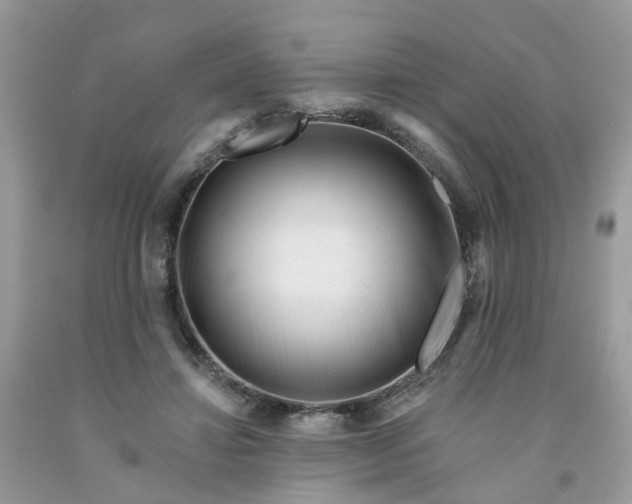 X0000091670452200709061046