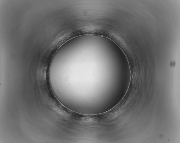 X0000091670454200709061046