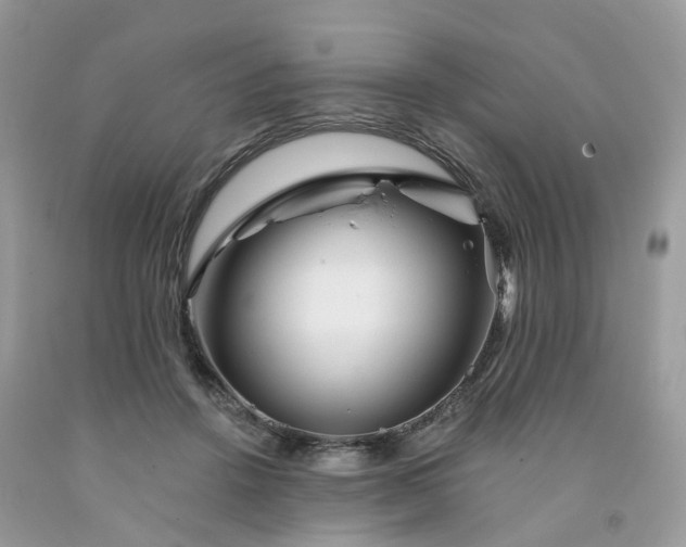 X0000091670456200709061046