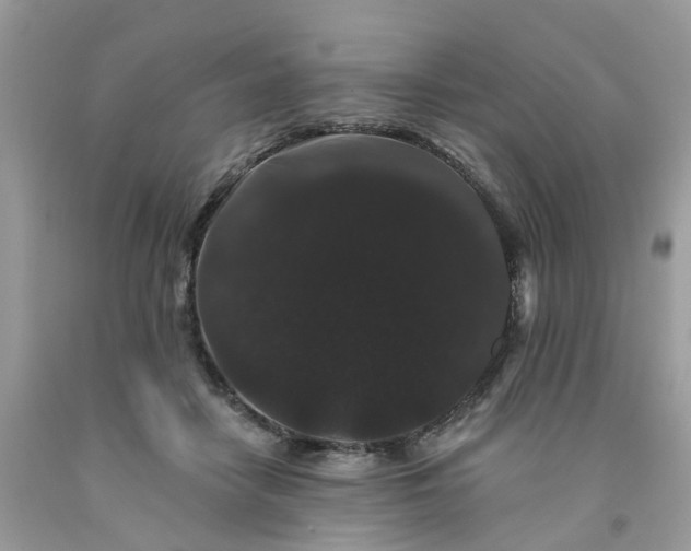 X0000091670458200709061046