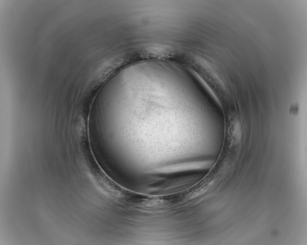X0000091670459200709061046