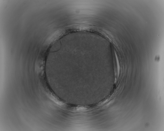 X0000091670462200709061046