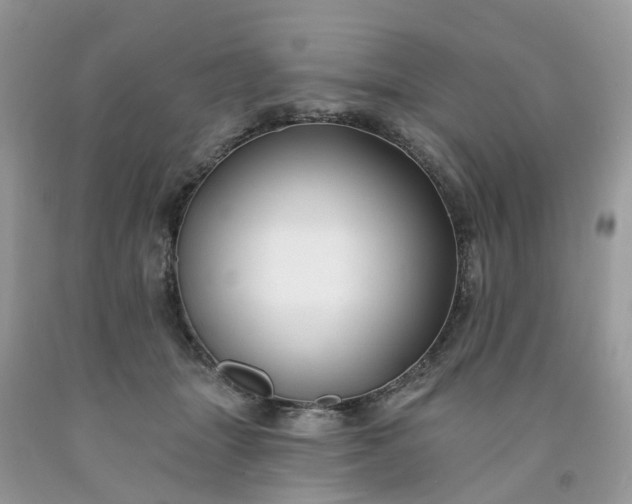 X0000091670463200709061046