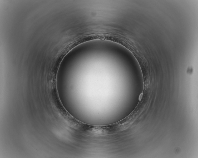 X0000091670464200709061046