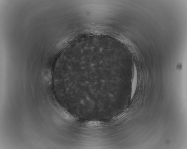 X0000091670465200709061046