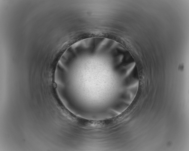 X0000091670466200709061046