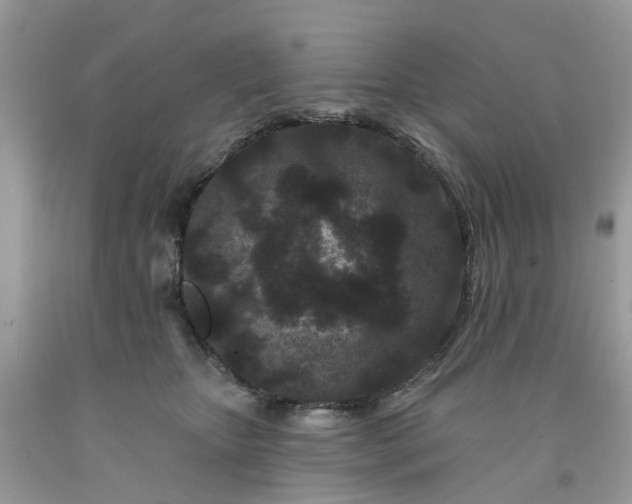 X0000091670467200709061047