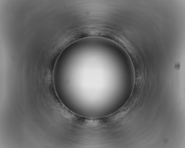X0000091670469200709061047