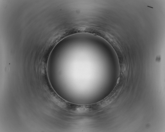 X0000091670470200709061047