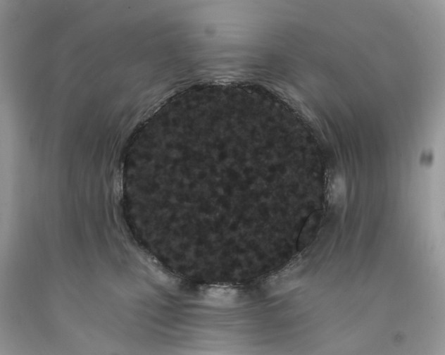 X0000091670471200709061047