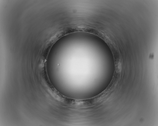 X0000091670472200709061047