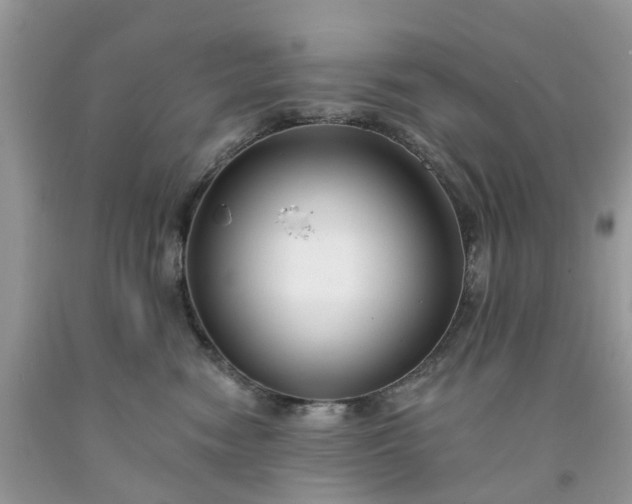X0000091670474200709061047