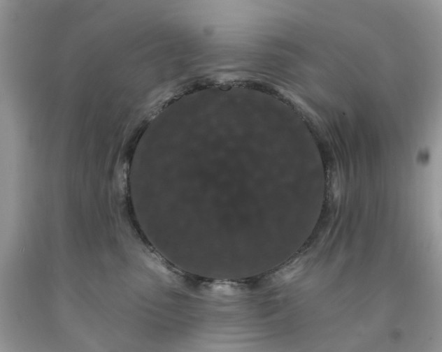 X0000091670475200709061047