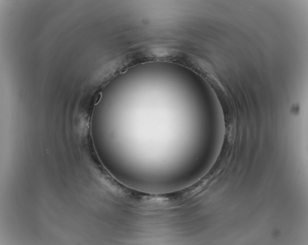 X0000091670476200709061047